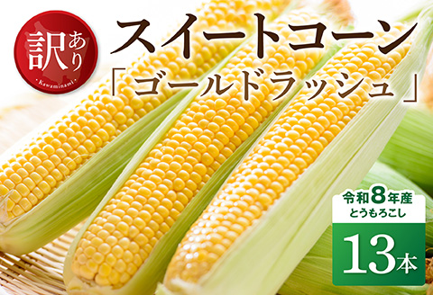 【訳あり】令和8年産とうもろこし　スイートコーン「ゴールドラッシュ」13本 【 新鮮 農家直送 トウモロコシ 産地直送 季節限定 期間限定 宮崎県産 九州産 】 [C09102]