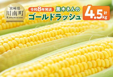 【令和8年発送】黒木さんのゴールドラッシュ4.5kg 【 数量限定 季節限定 産地直送 とうもろこし コーン とうきび 野菜 】[C10902]