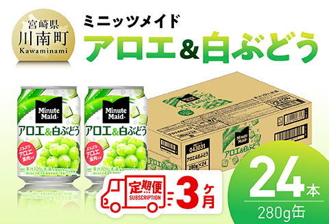 【3ヶ月定期便】ミニッツメイド「アロエ&白ぶどう」280g缶 24本 【 飲料 アロエ 白ぶどう 果汁 長期保存 定期便 】 [C11131t3] 【3ヶ月定期便】280g×24本
