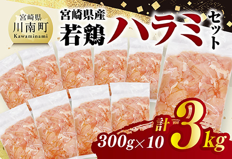 宮崎県産若鶏　ハラミ3kg（300g×10） 【 鶏肉 鶏 ハラミ 肉 宮崎県産 小分け パック 送料無料 】 [C11605]