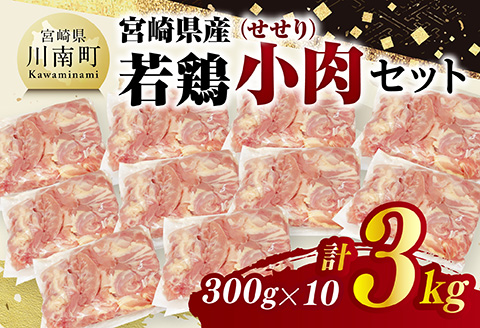 宮崎県産若鶏　小肉(せせり)3㎏（300g×10） 【 鶏肉 鶏 小肉 せせり 肉 宮崎県産 小分け パック 送料無料 】 [C11606]