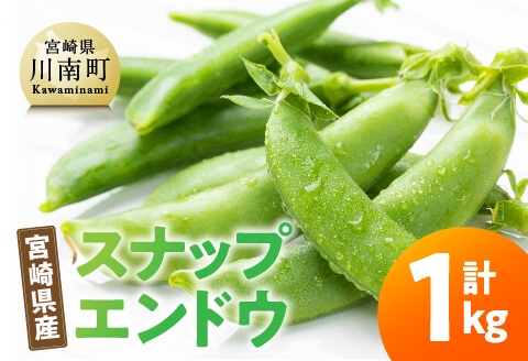 宮崎県産　スナップエンドウ1kg 【 宮崎県産 川南町産 スナップエンドウ 】[C12701]