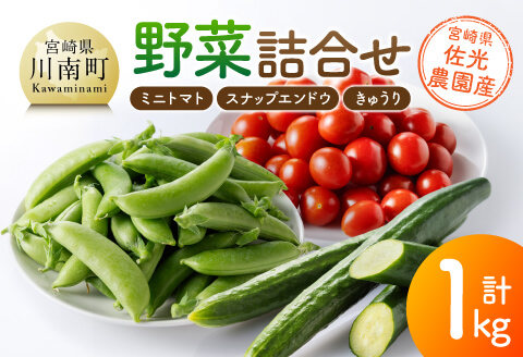 宮崎県佐光農園産　野菜詰め合わせ（ミニトマト・スナップエンドウ・きゅうり）計1kg 【 ミニトマト スナップエンドウ きゅうり 野菜 詰め合わせ 】[C13001]