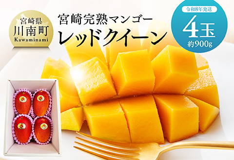 【先行予約】【令和8年発送】宮崎県産完熟マンゴー　「レッドクイーン」4玉(900g)  【 果物 フルーツ マンゴー 宮崎県産 完熟マンゴー みやざきマンゴー 先行予約 数量限定 期間限定 】 [C03208]