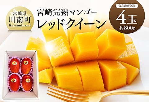 【先行予約】【令和8年発送】宮崎県産完熟マンゴー　「レッドクイーン」4玉(800g) 【 果物 フルーツ マンゴー 宮崎県産 完熟マンゴー みやざきマンゴー 先行予約 数量限定 期間限定 】 [C03217]