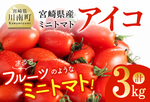 宮崎県産ミニトマト「アイコ」3kg 【 宮崎県産 ミニトマト トマト 】[C03805]