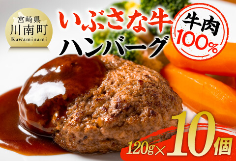 いぶさな牛ハンバーグ 10個 【 宮崎県産 牛 ハンバーグ 黒毛和牛 】[D05301]