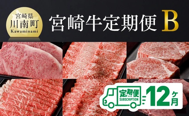 【定期便】宮崎牛12ヶ月定期便Ｂ　肉牛牛肉宮崎牛牛肉定期便送料無料牛肉牛肉ステーキ牛肉スライス送料無料牛肉 [D00676t12]