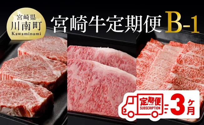 【定期便】宮崎牛３ヶ月定期便Ｂ‐１　肉牛牛肉国産牛肉九州産牛肉宮崎県産牛肉牛肉黒毛和牛ミヤチク牛肉全3回牛肉送料無料牛肉 [D00677t3]