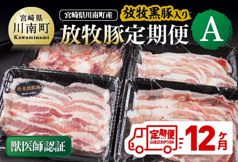 【12ヶ月定期便】宮崎県川南町産豚肉　放牧豚定期便A（放牧黒豚入り） 【 豚 肉 豚肉 黒豚 国産 九州産 宮崎県産 川南町 加工品 セット 送料無料 】[C08106t12]