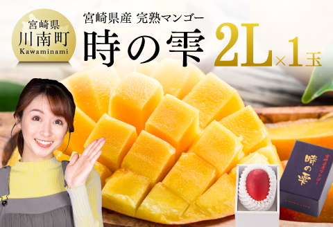 【令和8年発送】宮崎県産 完熟マンゴー「時の雫」 2L×1玉 【 果物 フルーツ マンゴー 宮崎県産 九州産 完熟マンゴー みやざきマンゴー 先行予約 数量限定 期間限定 】 [C08601]