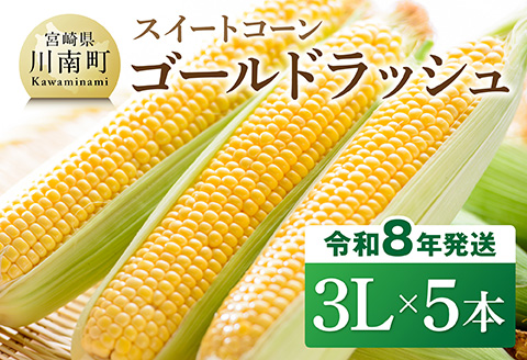 【令和8年発送】宮崎県産とうもろこし　スイートコーン「ゴールドラッシュ」3L×5本【新鮮 農家直送 トウモロコシ 産地直送 季節限定 期間限定 宮崎県産 九州産 野菜 】[C09108]