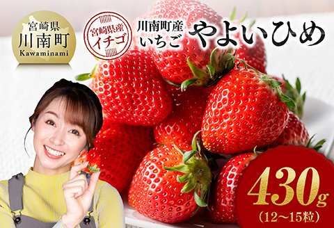 川南町産いちご「やよいひめ」430ｇ 【 期間限定 果物 イチゴ 苺 やよいひめ フルーツ 】[C11201]