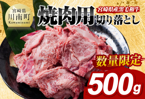 【数量限定】宮崎県産黒毛和牛焼肉用切り落とし500g 【 牛肉 国産 宮崎県産 宮崎牛 BBQ 焼肉用牛肉 国産牛肉 九州産牛肉 宮崎県産牛肉 送料無料 】[D11303]