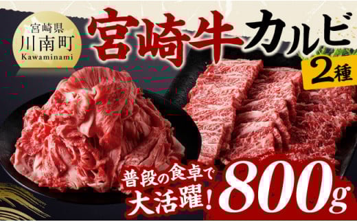 宮崎牛カルビ焼肉・切り落としセット合計800ｇ 【 肉 牛肉 国産 黒毛和牛 宮崎牛 焼肉 宮崎県 川南町 】[D11405]