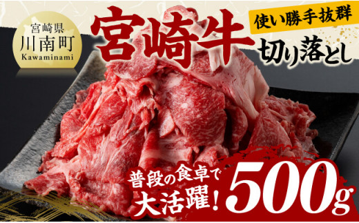 宮崎 牛切り落とし 500g【 肉 牛肉 国産 宮崎県産 黒毛和牛 和牛 】[D11418]
