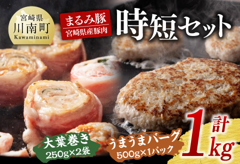 【豚肉】「まるみ豚」宮崎県産豚肉時短セット 【肉 豚肉 ハンバーグ 総菜】 [D11504]