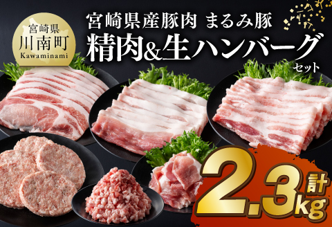 宮崎県産豚肉 「まるみ豚」 精肉&生ハンバーグセット計2.3kg 【 肉 豚肉 国産 ハンバーグ 小分け 弁当 おかず お手軽 真空パック バラ モモ ロース こま切れ スライス ミンチ 挽肉 九州産 宮崎県産 川南町産 送料無料 】[D11516]