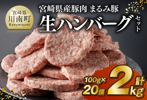 宮崎県産豚肉 「まるみ豚」 生ハンバーグセット計2kg（100g×20個） 【 肉 豚肉 国産 ハンバ―グ 弁当 おかず お手軽 真空パック 九州産 宮崎県産 川南町産 送料無料 】[D11518]