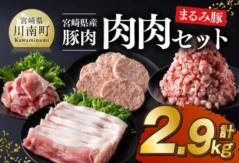 宮崎県産豚肉 「まるみ豚」 肉肉セット計2.9kg 【 肉 豚肉 国産 モモ ミンチ ハンバ―グ スライス こま切れ 弁当 おかず お手軽 真空パック 九州産 宮崎県産 川南町産 送料無料 】[D11519]