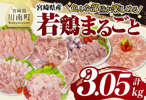 宮崎県産 若鶏 まるごと 3.05kg 【 もも むね ささみ 砂肝 手羽先 手羽元 小肉 鶏肉 とり肉 セット ごはん 料理 】[C11623]