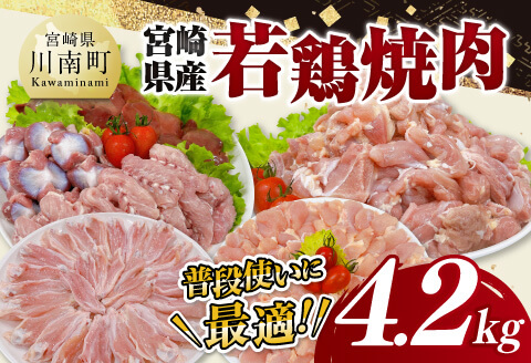 宮崎県産 若鶏 焼肉 4.2kg 【 もも 砂肝 小肉 チキンリブ 肩肉 鶏肉 とり肉 真空パック 】[C11625]