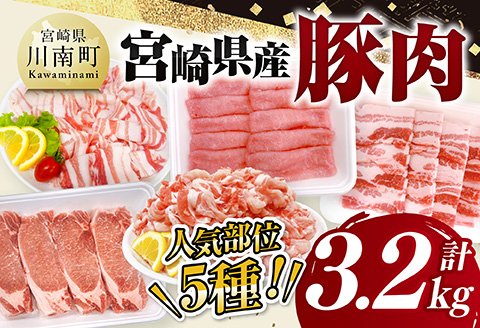 宮崎県産豚肉5種　3.2kg 【 豚肉 ぶた肉 肉 ロース バラ 切り落とし ミンチ 焼肉用 しゃぶしゃぶ 豚肉セット 】[C11628]