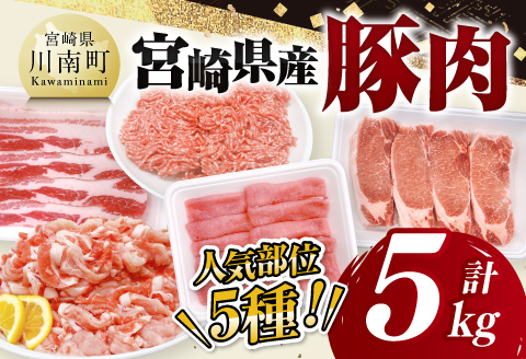宮崎県産豚肉5種　5kg 【 豚肉 ぶた肉 肉 ロース バラ 切り落とし ミンチ 豚肉セット 】[C11629]