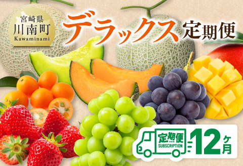 【12ヶ月定期便】デラックス定期便　川南町産フルーツくだものフルーツきんかんくだものフルーツいちご果物フルーツ完熟マンゴー果物フルーツぶどうフルーツピオーネフルーツシャインマスカットフルーツ大玉メロンフルーツ[D11717t12]