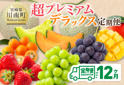 【12ヶ月定期便】超プレミアムデラックス定期便　川南町産フルーツくだものフルーツきんかんくだものフルーツいちご果物フルーツ完熟マンゴー果物フルーツぶどうフルーツピオーネフルーツシャインフルーツマスカットフルーツ大玉メロン[D11718t12]