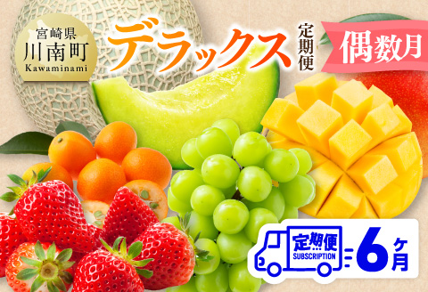 【全6回定期便】デラックス定期便【偶数月】　川南町産フルーツきんかんくだものフルーツいちごくだものフルーツ完熟マンゴー果物フルーツぶどうフルーツシャインマスカット果物フルーツメロンフルーツ[D11705t6]