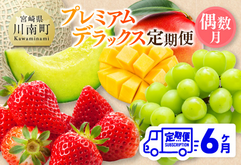 【全6回定期便】プレミアムデラックス定期便【偶数月】　川南町産フルーツいちごくだものフルーツ完熟マンゴーフルーツくだものぶどうフルーツ果物シャインマスカットフルーツメロン果物フルーツ[D11719t6]