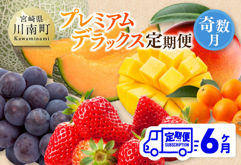 【全6回定期便】プレミアムデラックス定期便【奇数月】　川南町産フルーツきんかんくだものフルーツいちごくだものフルーツ完熟マンゴー果物フルーツぶどうフルーツピオーネフルーツ果物赤肉メロンフルーツ[D11716t6]