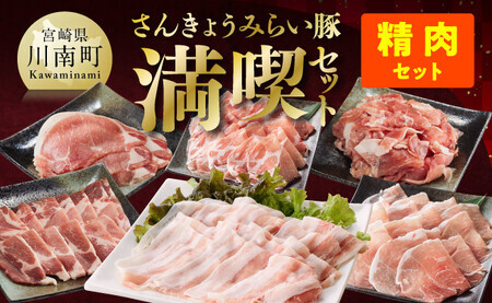 【令和8年3月発送】【いろんな料理にアレンジできちゃう満喫コース】（精肉）みらい豚満喫セット　肉豚豚肉国産豚肉九州産豚肉宮崎県産豚肉バラ肩ロースウデモモ焼肉[E0102br803] 令和8年3月発送分