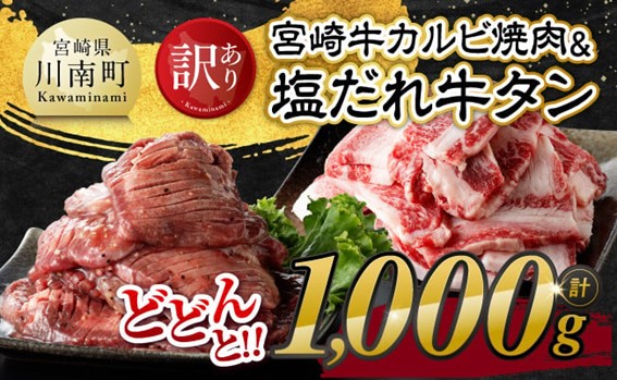 【令和8年2月発送】【訳あり】 宮崎牛カルビ焼肉＆塩だれ牛タン　計1,000g 【 肉 宮崎牛 カルビ 牛肉 牛たん たん 厚切り 塩ダレ 塩だれ タン 味付き BBQ 焼肉 焼き肉 焼くだけ おかず 簡単調理 】 [E11148r802] 【令和8年2月発送】