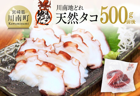 漁協直送！天然タコ（湯がき済）小分けで500g前後 【 たこ 蛸 海産物 日向灘 地どれ 】 [C01708]