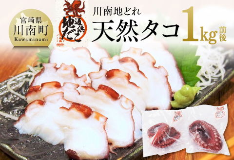 漁協直送！天然タコ（湯がき済）小分けで1kg前後 【 たこ 蛸 海産物 日向灘 地どれ 】 [C01709]