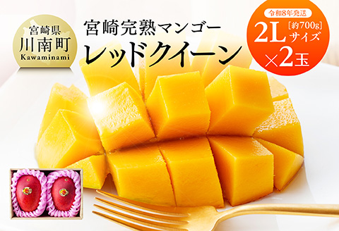 【先行予約】【令和8年発送】宮崎県産完熟マンゴー　「レッドクイーン」2L×2玉 【 果物 フルーツ マンゴー 宮崎県産 完熟マンゴー みやざきマンゴー 先行予約 数量限定 期間限定 】[C03210]