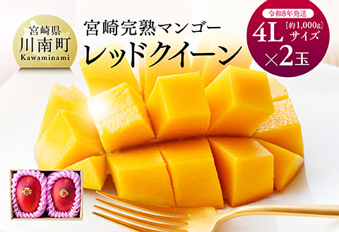 【先行予約】【令和8年発送】宮崎県産完熟マンゴー　「レッドクイーン」4L×2玉 【 果物 フルーツ マンゴー 宮崎県産 完熟マンゴー みやざきマンゴー 先行予約 数量限定 期間限定 】[C03213]