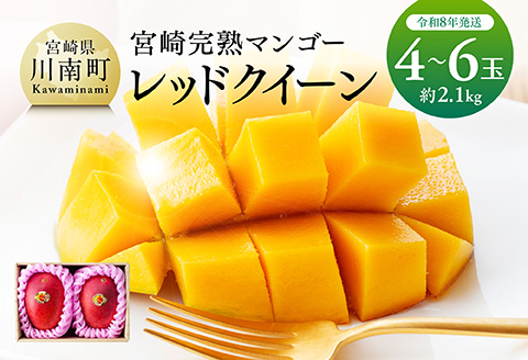 【先行予約】【令和8年発送】宮崎県産完熟マンゴー　「レッドクイーン」4～6玉 【 果物 フルーツ マンゴー 宮崎県産 完熟マンゴー みやざきマンゴー 先行予約 数量限定 期間限定 】[C03214]