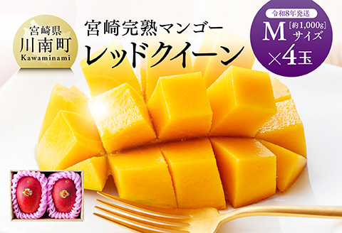 【先行予約】【令和8年発送】宮崎県産完熟マンゴー　「レッドクイーン」M×4玉 【 果物 フルーツ マンゴー 宮崎県産 完熟マンゴー みやざきマンゴー 先行予約 数量限定 期間限定 】[C03215]