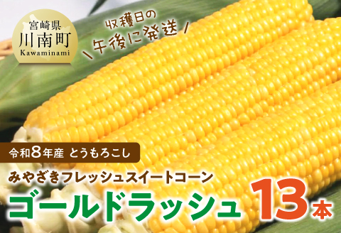 【令和8年発送】　宮崎県産とうもろこし　みやざきフレッシュスイートコーン「ゴールドラッシュ」13本 【 新鮮 朝どれ 農家直送 トウモロコシ 産地直送 期間限定 数量限定 真空予冷 JA 】 [C03803]