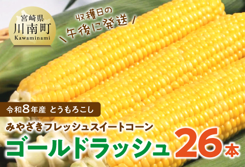 【令和8年発送】　宮崎県産とうもろこし　みやざきフレッシュスイートコーン「ゴールドラッシュ」26本 【 新鮮 朝どれ 農家直送 トウモロコシ 産地直送 期間限定 数量限定 真空予冷 JA 】 [C03804]