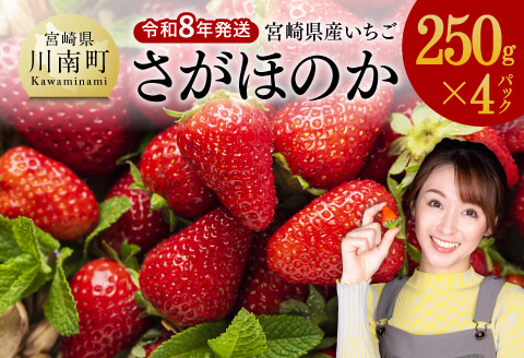 【令和8年発送】　宮崎県産いちご　「さがほのか」250ｇ×4パック 【 先行予約 期間限定 果物 イチゴ 苺 フルーツ 】 [C03802]