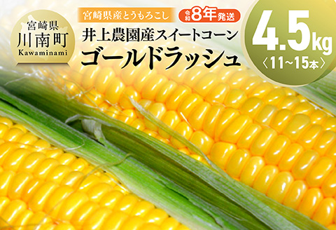 【令和8年発送】宮崎県産とうもろこし　井上農園産スイートコーン(ゴールドラッシュ)4.5kg 【 トウモロコシ スィートコーン 2026年発送 先行予約 数量限定 期間限定 野菜 】 [C03901]