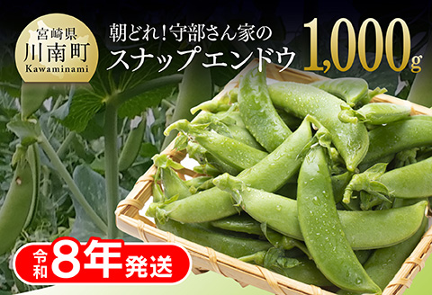【先行予約】【令和8年発送】朝どれ！守部さん家のスナップエンドウ1.0kg 【 野菜 宮崎県産 エンドウ豆 えんどう豆 おつまみ 2026年発送 】[C06415]