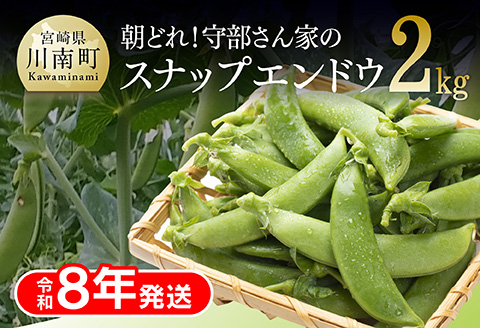 【先行予約】【令和8年発送】朝どれ！守部さん家のスナップエンドウ2.0kg 【 野菜 宮崎県産 エンドウ豆 えんどう豆 おつまみ 2026年発送 】[C06416］