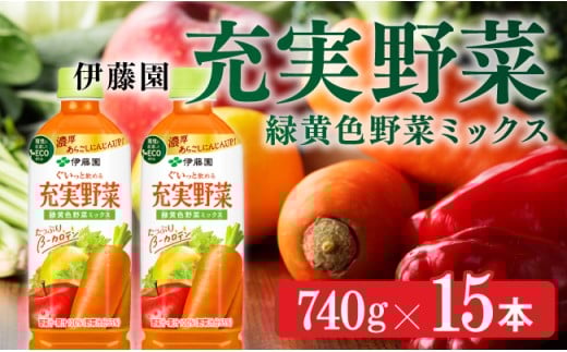 伊藤園 充実野菜 緑黄色野菜ミックス 740g×15本PET【野菜飲料 野菜ジュース ミックスジュース 飲料類 セット ジュース ソフトドリンク ケース】[E7317]