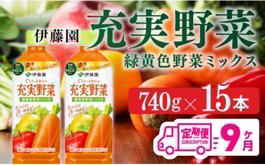 充実野菜 緑黄色野菜ミックスペットボトル　740g×15本　9ヶ月定期便　野菜ジュース[E7366t9]