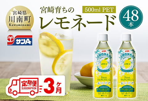 【3ヶ月定期便】サンA宮崎育ちのレモネード500mlＰＥＴ　24本入り×2ケース【 全3回 飲料 栄養機能食品 レモン 檸檬 マルチビタミン配合 セット ジュース PET 長期保存 備蓄 送料無料】[C03016t3]